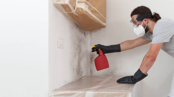 Basement Mold Remediation treatment on basement walls in Ridgefield