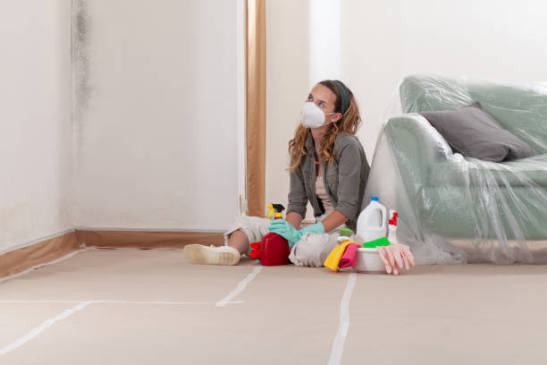 Mold Removal service in Ridgefield
