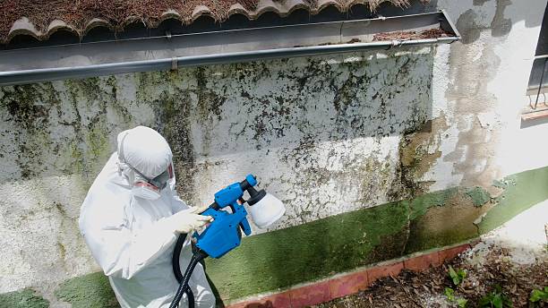 Mold Remediation service in Ridgefield, Ridgefield, WA